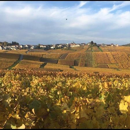Gite En Champagne Le Sarment Cramant Exterior foto