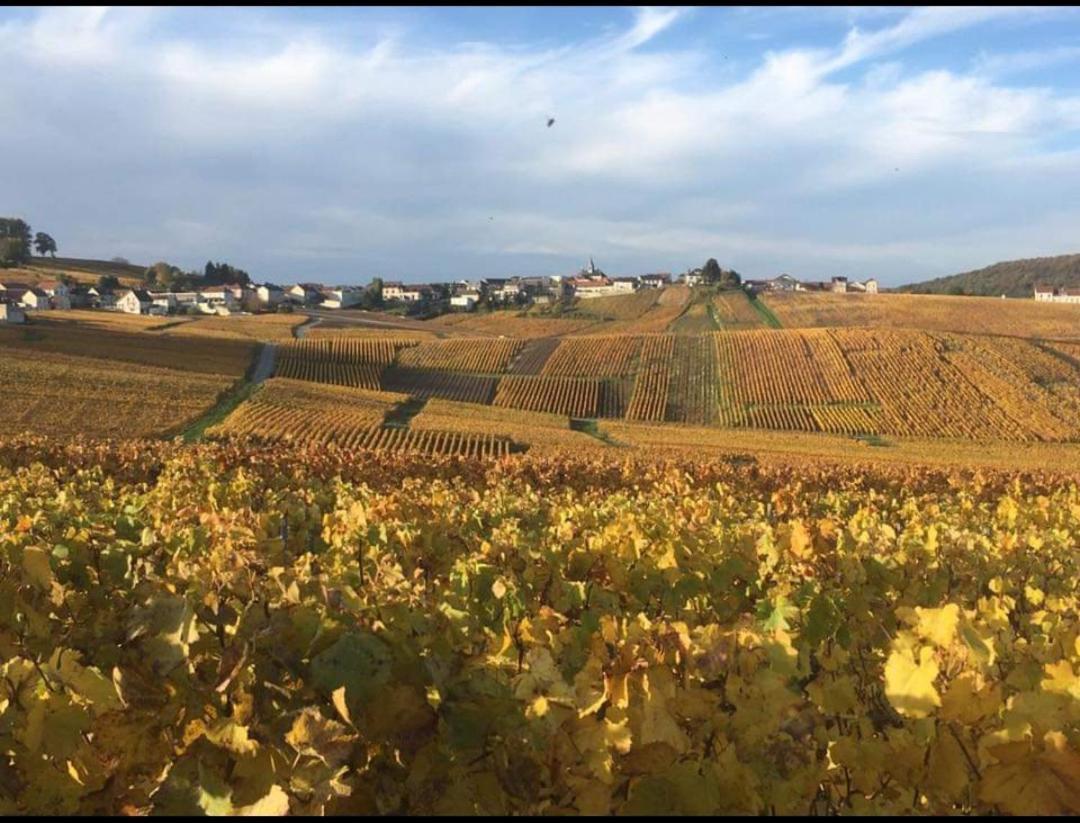 Gite En Champagne Le Sarment Cramant Exterior foto